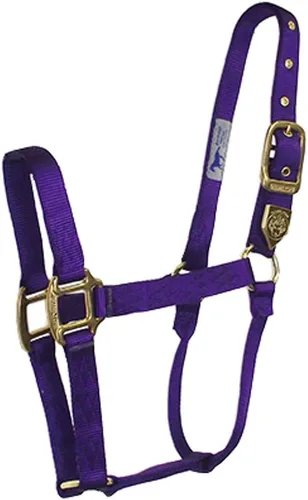 Miniatura 9 de Hamilton Caballo de nailon de 1 pulgada, tamaño pequeño (500-800 libras), azul baya