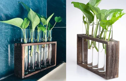 Miniatura 3 de Estación de propagación de plantas de madera de 5 tubos, soporte de terrario de vidrio de mesa para esquejes hidroponía, decoración de escritorio