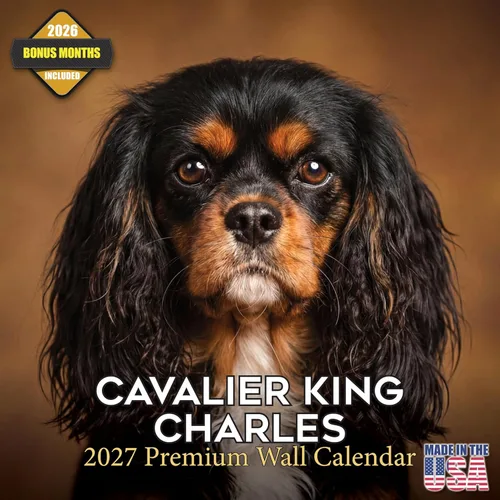 Miniatura 69 de Calendario 2025 2026 de cachorros Cocker Spaniel - Calendario mensual de pared de raza de perro - 12" x 24" abierto - Papel grueso sin sangrado