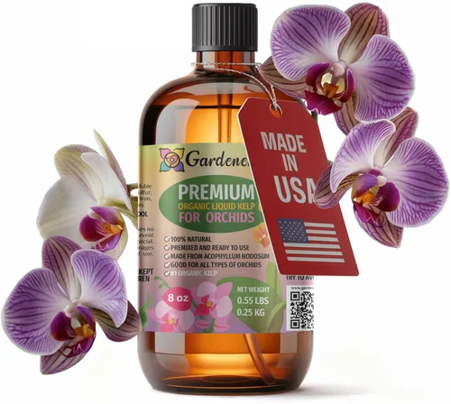 Miniatura 86 de GARDENERA Superalimento orgánico prémium de algas marinas y algas marinas para plantas AGLAONEMA, 8 onzas, concentrado de fertilizante líquido