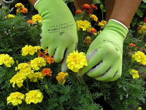 Miniatura 5 de Guantes de jardinería para mujeres y hombres, revestimiento de nitrilo para protección Multi colorido