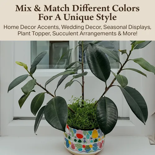 Miniatura 5 de Musgo español preservado - Musgo decorativo - Musgo seco para manualidades, decoración del hogar, proyectos de arte, diseño y bricolaje - para uso