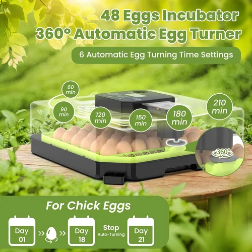 Miniatura 6 de Incubadora de 48 huevos para incubar huevos con giro automático de huevos, control de temperatura y humedad, incubadora de huevos con ventana