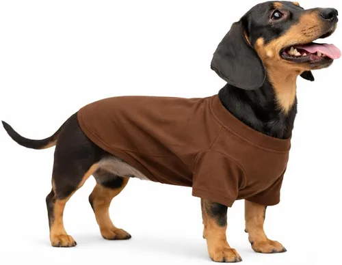 Lovelonglong Ropa para mascotas, disfraces para perro, ropa de perro salchicha, camiseta en blanco para perros salchicha, Corgi 100% algodón, café,