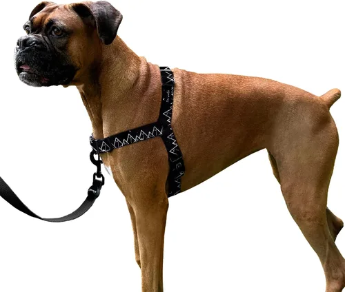 Miniatura 14 de ShawnCo Dream Walk Arnés para Perros Sin Tirones - Ajustable, Cómodo, Fácil de Usar, Cabestro para Mascotas para Ayudar a Detener los Tirones
