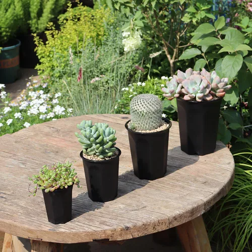 Miniatura 7 de Paquete de 14 macetas de plástico negro profundo de 4.40 pulgadas para vivero y plántulas, contenedor redondo para trasplante, corte, suculentas