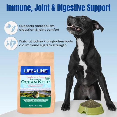 Miniatura 4 de Life Line - Suplemento orgánico certificado de algas marinas para perros, gatos y caballos Aumenta la salud del pelaje, reduce el desprendimiento