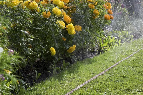 Miniatura 4 de Gardena Manguera de riego 16, 4Yd en marrón