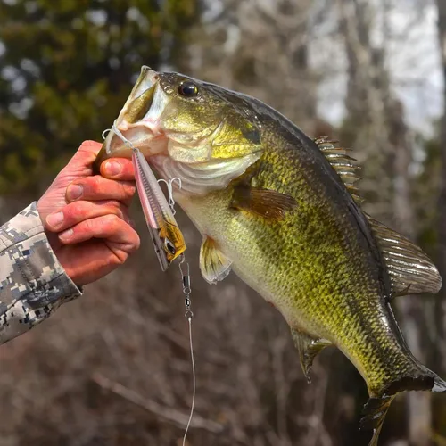 Miniatura 7 de Alwonder Paquete de 100 unidades de barril de pesca giratorios con broches de presión, aparejos de pesca de acero inoxidable seguro entrelazado
