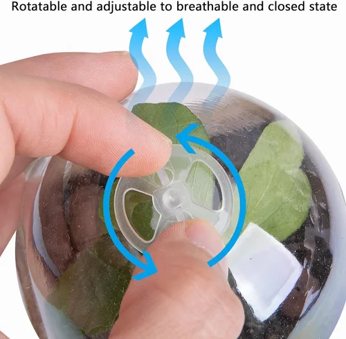 Miniatura 4 de EBaokuup 40 macetas biodegradables para siembra, macetas de vivero de plantas de 3.1 pulgadas con cúpula de humedad, macetas de turba para plantas