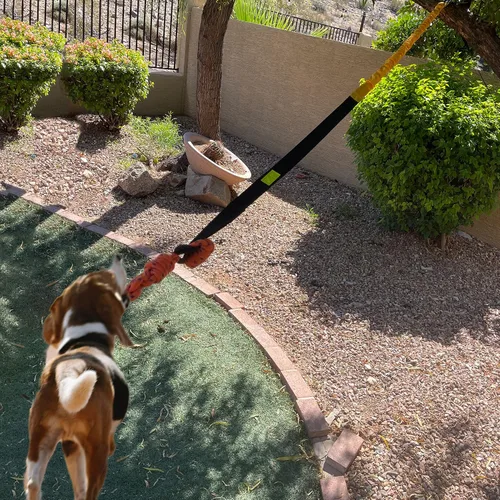 Miniatura 4 de Juguete elástico para perros de 20.35 pies con cuerda interactiva reforzada con dos recambios de repuesto, juguetes interactivos para perros