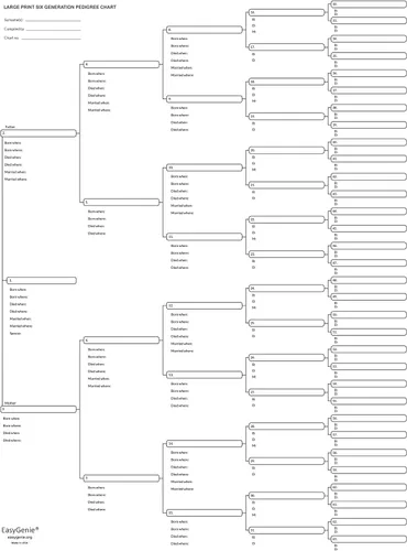 Miniatura 3 de EASYGENIE 10 GRANDE PRINT Gráficos de Pedigrí de seis generaciones para ascendencia Formularios de genealogía de calidad de archivo