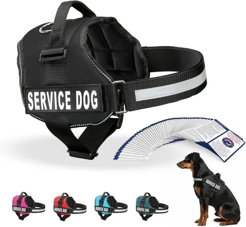 Arnés Industrial Puppy para perros con correas y asa, y chaleco con parche reflectante, en un cómodo diseño de malla, Negro