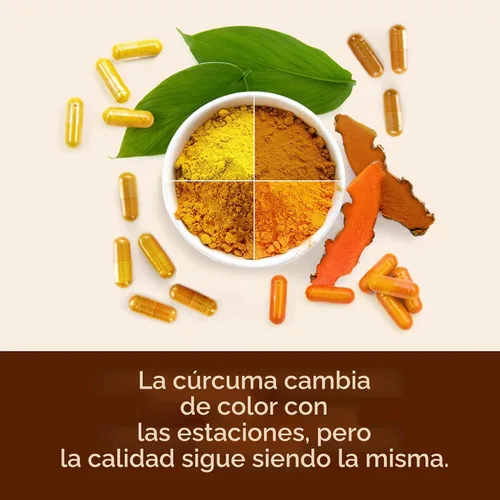 Miniatura 6 de Suplemento dietario a base de cúrcuma y curcumina con bioperine para aliviar del dolor en las articulaciones, con efecto antinflamatorio