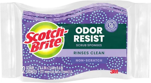 Scotch-Brite esponjas de limpieza sin rayar y resistentes a los olores, esponjas de cocina aptas para lavavajillas que resisten los olores