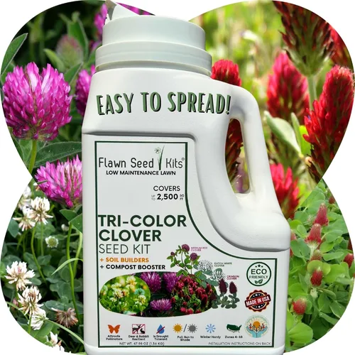 Flawn Seed Kits Kit de semillas de trébol tricolor, esparcidor fácil de esparcir, bajo mantenimiento, cubierta de suelo alternativa, cubre hasta