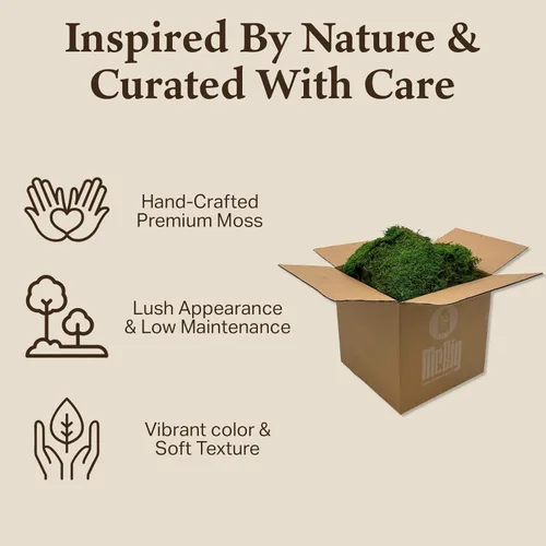 Miniatura 3 de Musgo de hoja preservado - Musgo decorativo natural - Musgo seco para manualidades, decoración del hogar, proyectos de arte, diseño y bricolaje - No