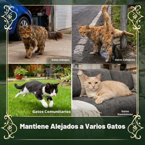 Miniatura 3 de Repelente para gatos al aire libre, disuasorio de arañazos para gatos en interiores, repelentes de gatos callejeros, repelente de orina de gato