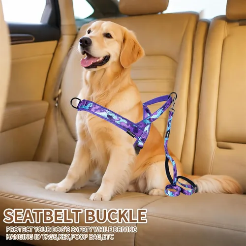 Miniatura 5 de Arnés para Perro sin Tirones y Juego de Correa-Arnés de Chaleco con Asa y Correa de 5 Pies con Clip para Asiento de Coche, Malla transpirable