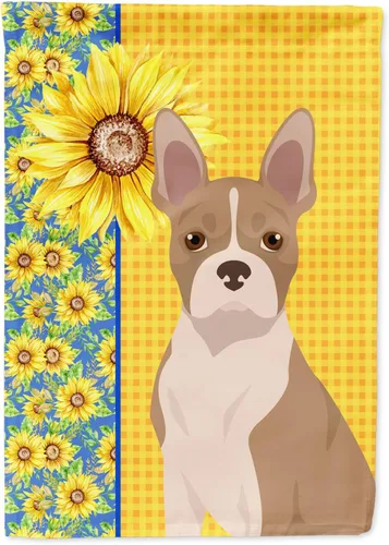 Miniatura 82 de Caroline's Treasures WDK5331CHF - Bandera de verano con diseño de girasoles rojos y blancos, manga grande, para porche, para colgar en la pared