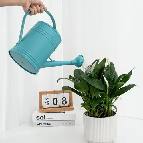 Miniatura 4 de Regadera para plantas de interior, regadera de flores, regadera de plástico para plantas, regadera de interior con cabezal de aspersor de 68 onzas