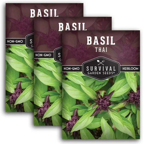 Miniatura 11 de Semillas de albahaca tailandesa para plantar – Albahaca dulce tailandesa con sabor a anís para cocina asiática – Semillas de hierbas tradicionales