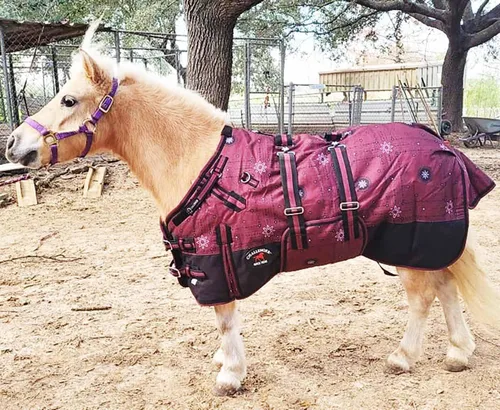 Miniatura 5 de 58 "1200D Miniatura Weanling Donkey Pony Horse Foal Manta de invierno 51979B Copo de nieve