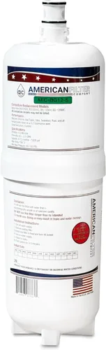American Filter Company®, Filtro de agua, modelo # AFC-BG12-S, compatible con Body Glove (R) BG-12000C 1