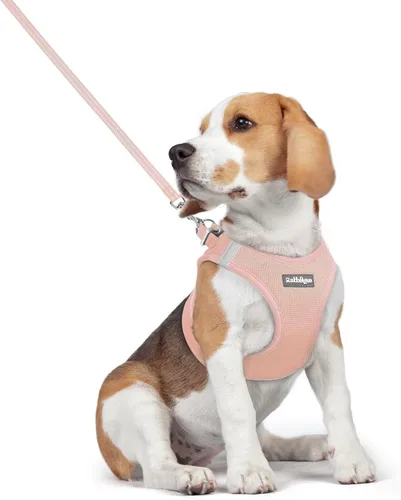 Miniatura 10 de rabbitgoo Juego de arnés para perro de tamaño pequeño y correa, chaleco ligero suave para cachorro, arnés de malla transpirable para mascotas