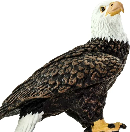Miniatura 5 de Safari Ltd. Figura de águila calva - Figura de ave realista de 6 cm - Juguete educativo para niños, niñas y niños de 3 años en adelante