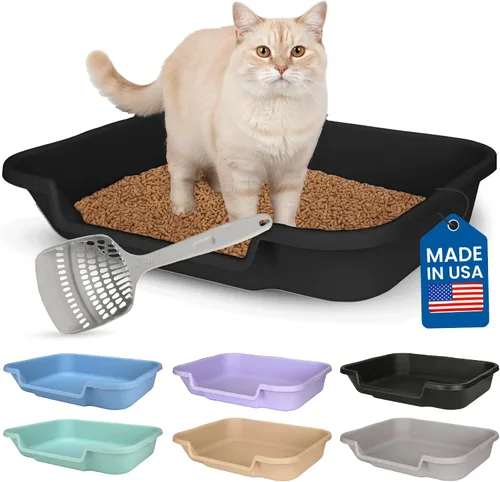 Miniatura 37 de KittyGoHere - Caja de arena para gatos mayores, sartén pequeña con cuchara jumbo de mango largo, caja de arena para gatos de entrada baja, ligera