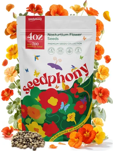 Miniatura 10 de Seedphony Paquete de semillas de equinácea de 1 onza – 9,300 semillas de equinácea sin OMG para plantar, flores perennes en paquete de semillas