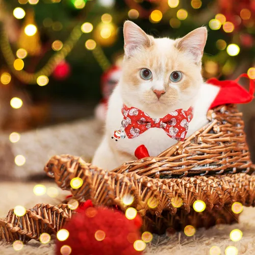 Miniatura 5 de Paquete de 2 collares navideños para gatos, collares festivos de Papá Noel y muñeco de nieve con campana y dije, ajustable, linda Navidad para niños