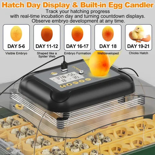 Miniatura 3 de Incubadora de 49 huevos para incubar huevos con giro automático de huevos, pantalla de temperatura y humedad, cuenta regresiva del día