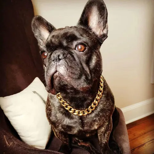 Miniatura 2 de txprodogchains Collar de cadena para perro grande con hebilla, resistente de 0.748 in de grosor, acero inoxidable, oro de 18 quilates, cadena