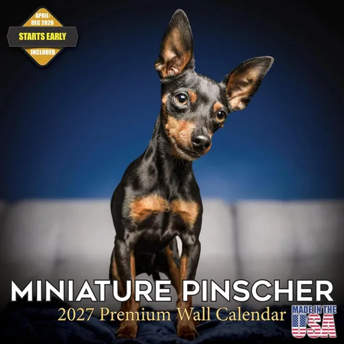 Miniatura 191 de Calendario 2025 2026 de cachorros Cocker Spaniel - Calendario mensual de pared de raza de perro - 12" x 24" abierto - Papel grueso sin sangrado