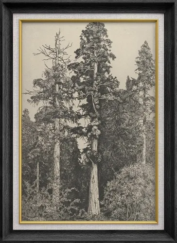 SIGNWIN Arte de marco de alta calidad, elegante, vintage, ilustraciones de dibujo de árbol, arte fino, arte tradicional icónico para sala de estar,
