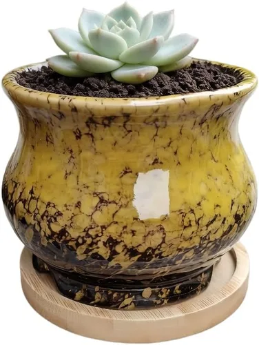 Miniatura 50 de Bonita maceta circular de cerámica para decoración del hogar y jardín, suculentas, cactus, maceta no incluida (azul, 3.19 pulgadas)