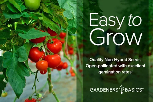 Miniatura 5 de Kit de cultivo de tomates – Cultiva 8 variedades de deliciosos tomates – Semillas de reliquia sin OMG, kit completo de semillas de tomate