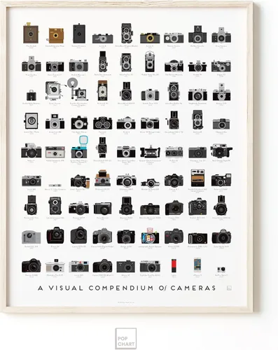 Miniatura 5 de Pop Chart Compendio visual de cámaras Póster artístico de 16 x 20 pulgadas Decoración de cámara para sala de estar y oficina Historia