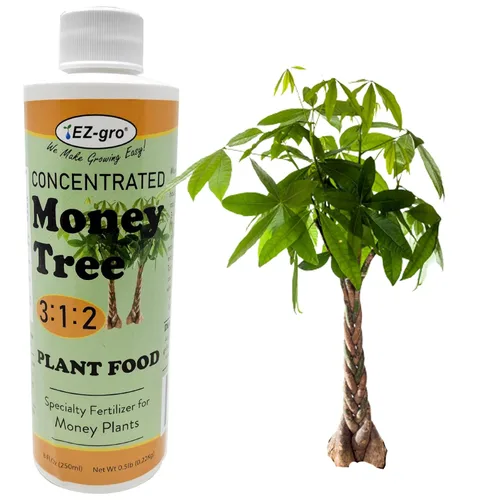 Miniatura 5 de EZ-GRO Alimento Líquido para Plantas de Higuera de Hoja de Violín - Botella de 8 oz Fertilizante NPK 3-1-2 para Plantas de Interior Nutrientes