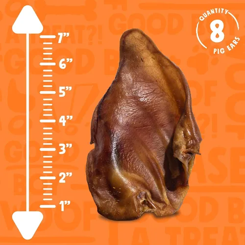 Miniatura 5 de Orejas de cerdo para perros (paquete de 08) – Orejas de cerdo enteras totalmente naturales de un solo ingrediente – Masticables para perros con alto