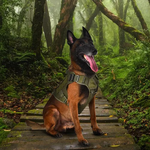 Miniatura 6 de Arnés táctico para perro, 2 hebillas de metal, arnés reflectante militar para perro con soporte oculto para Airtag y asa, chaleco ajustable