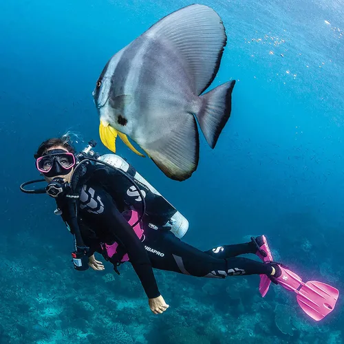Miniatura 4 de SCUBAPRO Lente óptica para máscara de buceo con zoom para buceadores miopes, intercambiable izquierda o derecha, -2.0
