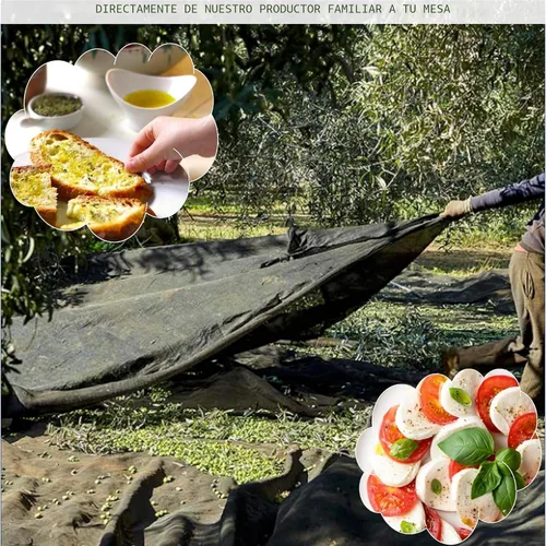 Miniatura 6 de WellEatable Robust +1,200 mg/kg rico en polifenoles Olio Italiano, 2024/25 cosecha temprana orgánico extra virgen aceite de oliva de Italia, probado