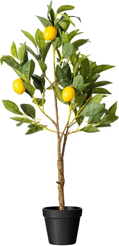 Vickerman Everyday 28 "Árbol de limón artificial en maceta con hojas de tacto real. Maceta de plástico negro - Decoración realista para el hogar o