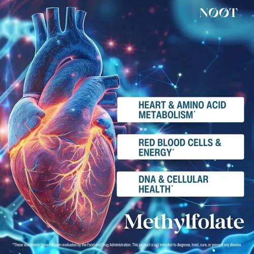 Miniatura 8 de NOOT Metilfolato orgánico 1000 mcg DFE, folato de origen vegetal con 5-MTHF de origen natural para energía, estado de ánimo, metilación, formación