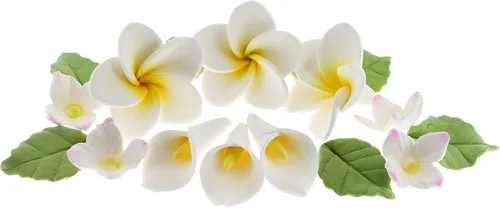 Miniatura 9 de Global Sugar Art Tropical Frangipani Plumeria - Flores comestibles de azúcar, para pastel de boda y cupcakes con hojas, 24 unidades por cuenta