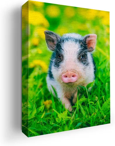 Miniatura 74 de Mavis Print - Lienzo decorativo para pared con diseño de conejo/conejo, 36 x 36 pulgadas, decoración de pared de animales impresos en HD y marco