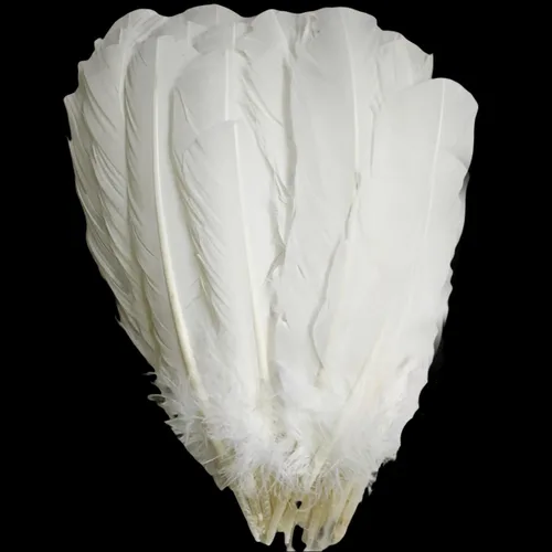 Miniatura 10 de Plumas de pavo negro, pluma larga natural grande de 10 a 13 pulgadas, plumas bilaterales de tamaño grande para manualidades, 12 piezas (pavo negro)